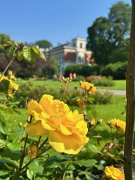 HATANPÄÄN ARBORETUM, VILLA VINO, YRJÖLÄN MARJATILA JA FRANTSILAN KEHÄKUKKA