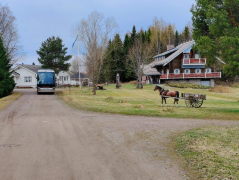 HYRSYLÄN MUTKA JA SALON ILTATORI