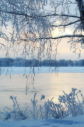LAUHAMON PIKKUJOULUMATKA